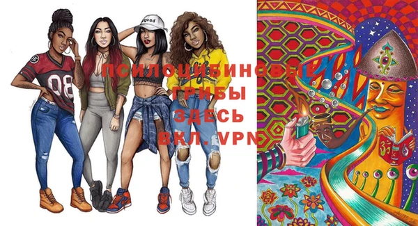 спайс Белокуриха