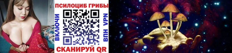 Галлюциногенные грибы Psilocybine cubensis Купить где Ногинск